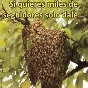 Meet your Posher, Efrain